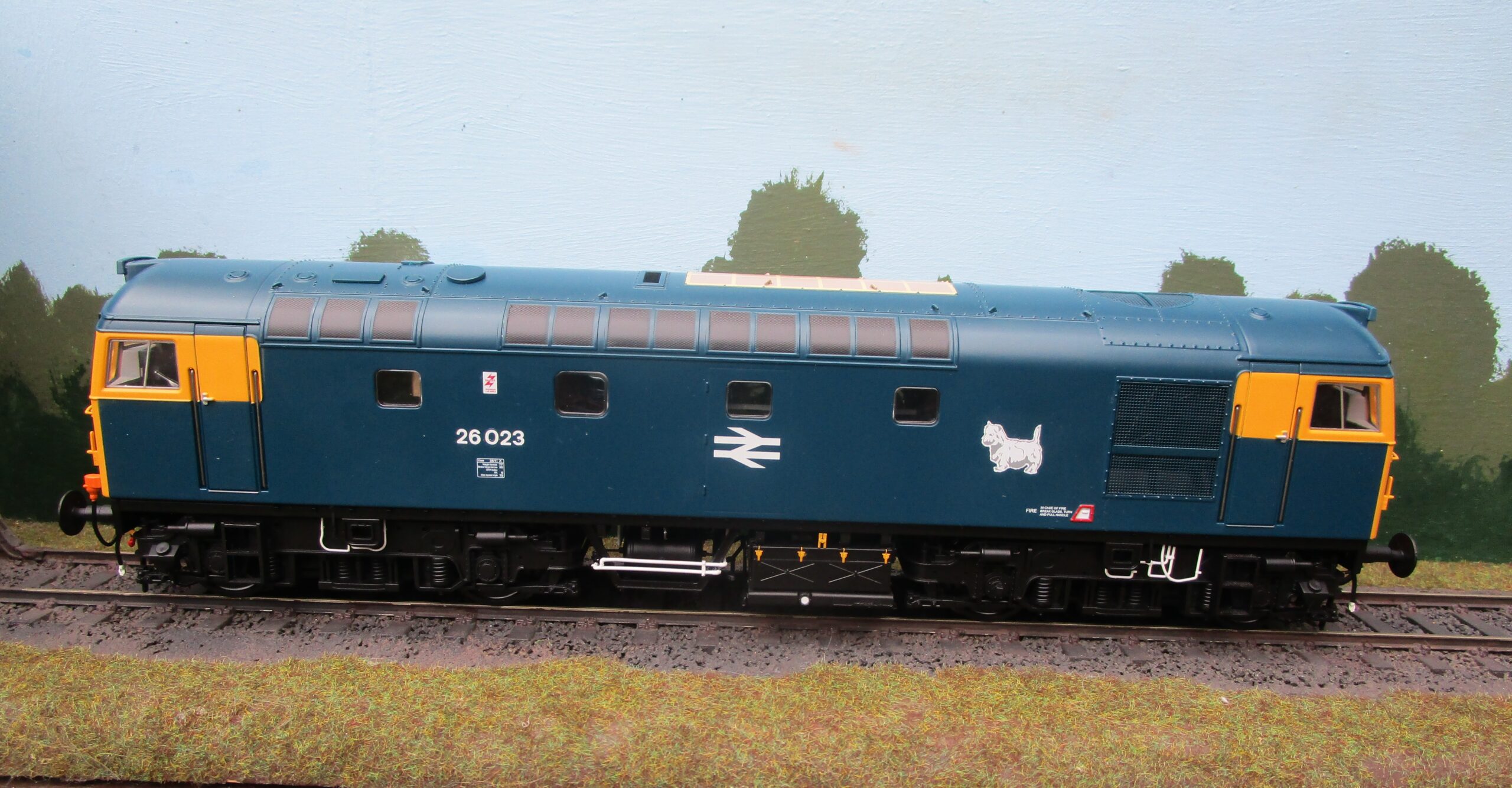 Heljan o gauge store class 26